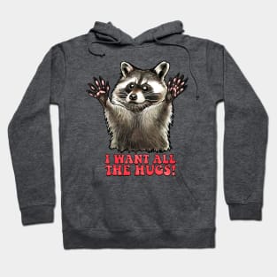 Racoon Hug Hoodie